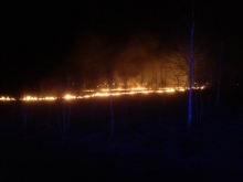 Огонь полыхал буквально в 50 метрах от АЗС